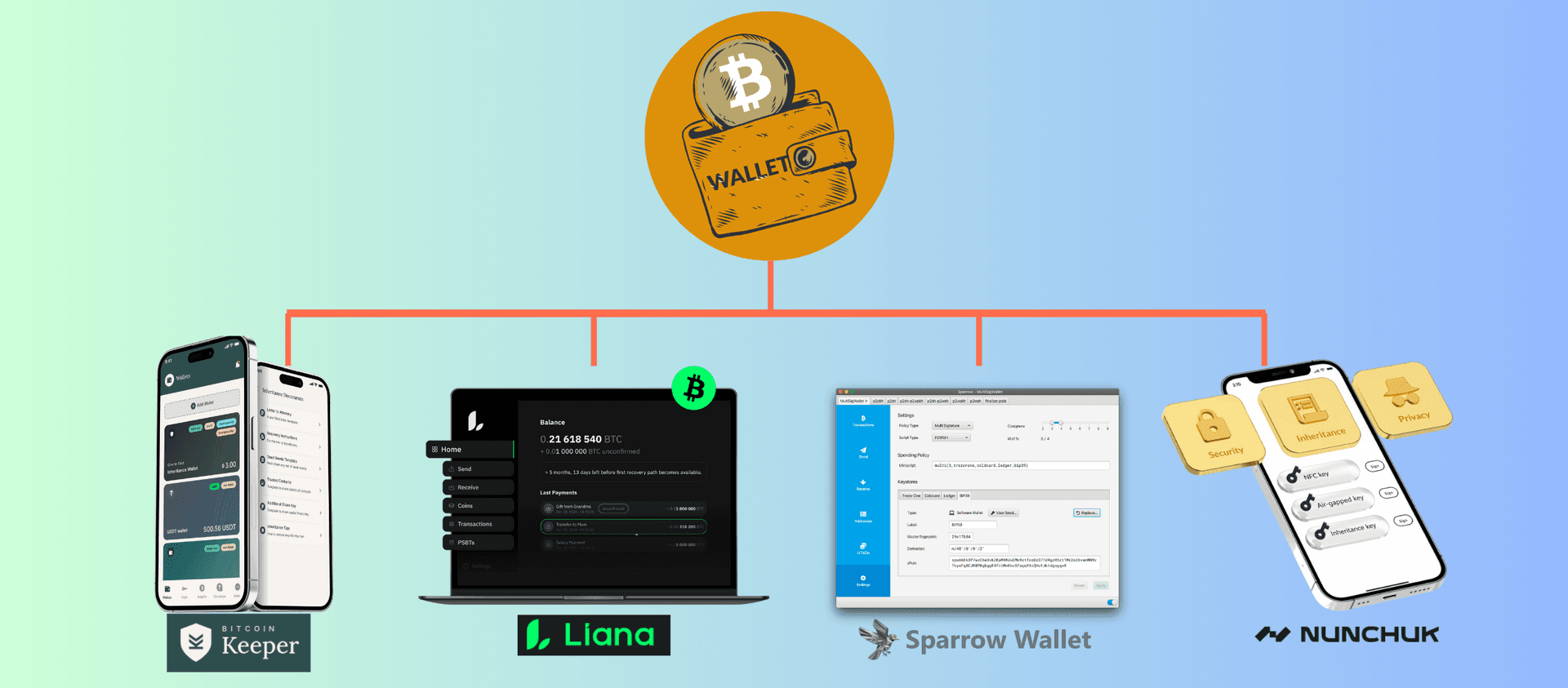 Nunchuk, Sparrow Wallet, Liana and Bitcoin Keeper are some of the well respected self-custody wallets.